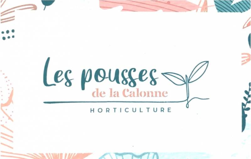 Horticulture Belleville sur saone plantes fleurs légumes serre