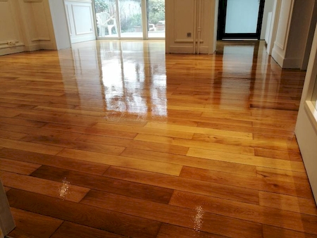 société spécialisée rénovation parquet dégâts des eaux lyon